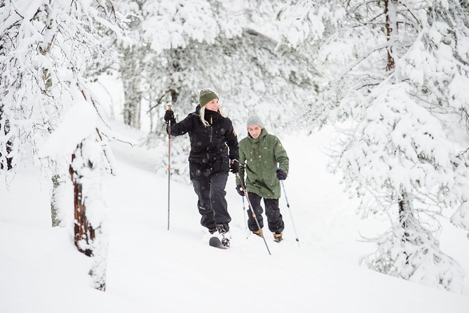Classic Wilderness Skiing in the Pyhä-Luosto National Park - The 2.5-hour flow: what happens from start to finish