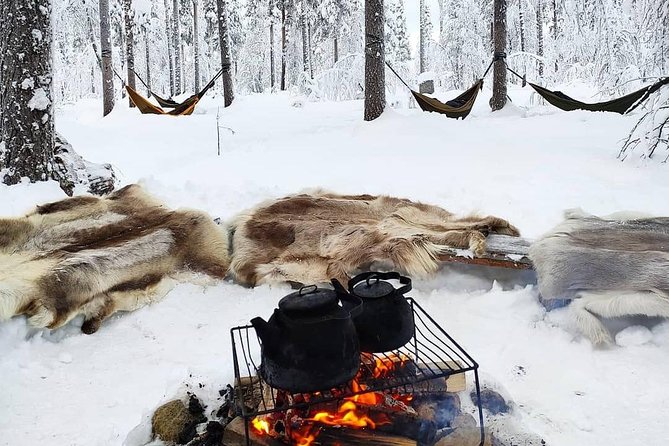 Cocooning in the HaliPuu forest: The ultimate Arctic hammock relaxation - Key things to know before you go