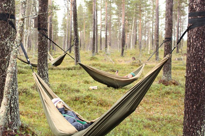 Cocooning in the HaliPuu forest: The ultimate Arctic hammock relaxation - Hammock-nest relaxation: the whole point is doing nothing
