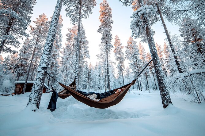 Cocooning in the HaliPuu forest: The ultimate Arctic hammock relaxation - Raekallio woodlands to the hugging tree forest: reaching HaliPuu