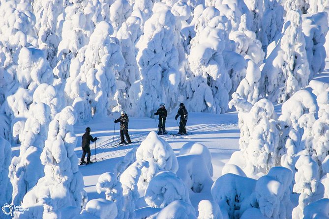 Cross-Country Skiing Trip - Full Day Option: Adding Lunch Without Adding Stress