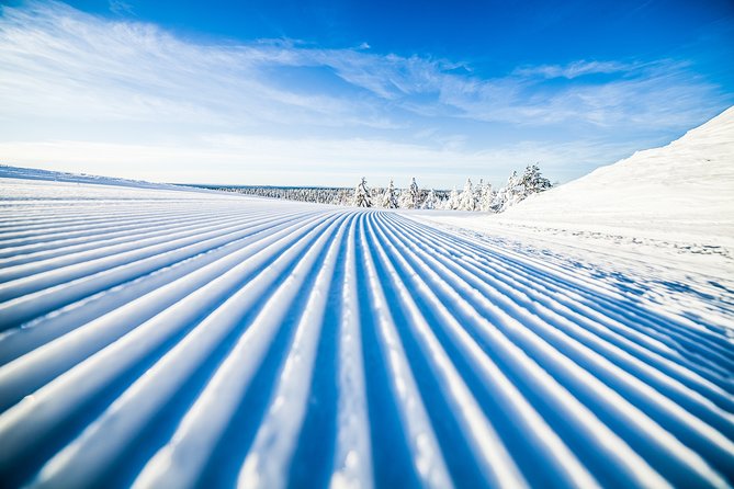 Cross-Country Skiing Trip - The Beginner Lesson: Where You Learn the “Why” Before the “How”