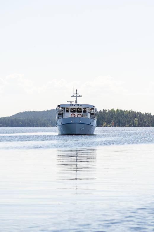 Cruise around Savonlinna archipelago - Saimaa ringed seal chances: how to watch without getting stressed