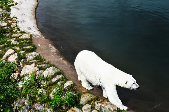 Day Trip to Ranua Arctic Wildlife Park from Rovaniemi - What you should pack for a comfortable Arctic day trip