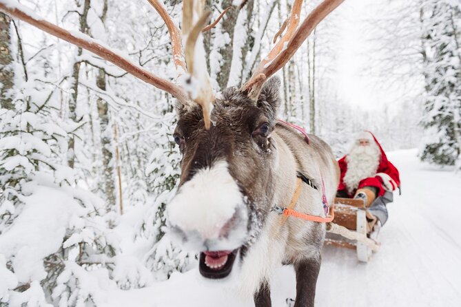 Daytour to Santa Claus Village, Reindeer and Husky Safaris, Photo, and Lunch - Santa Claus Village Day Trip in Rovaniemi, Built for Maximum Christmas Time