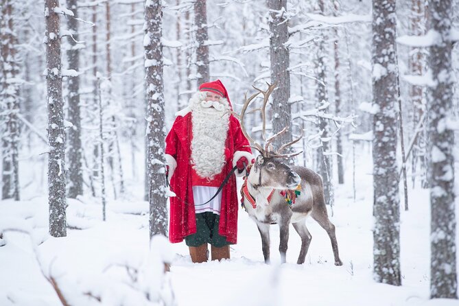 Daytour to Santa Claus Village, Reindeer and Husky Safaris, Photo, and Lunch - Lunch at Santa Claus Village, Included Meal and How to Plan for It