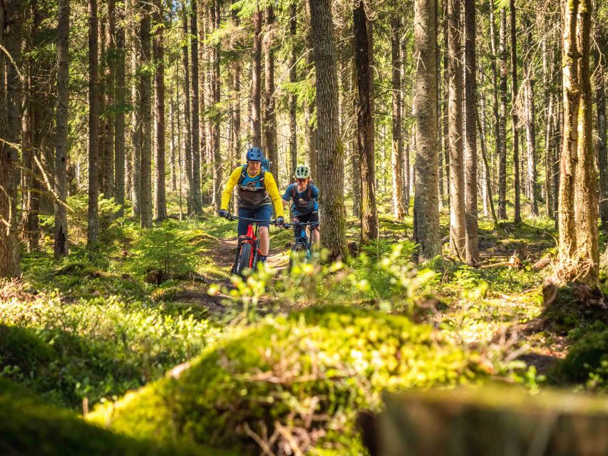 E-FatBike experience in small groups - Following forest roads and winter trails, not just a straight line
