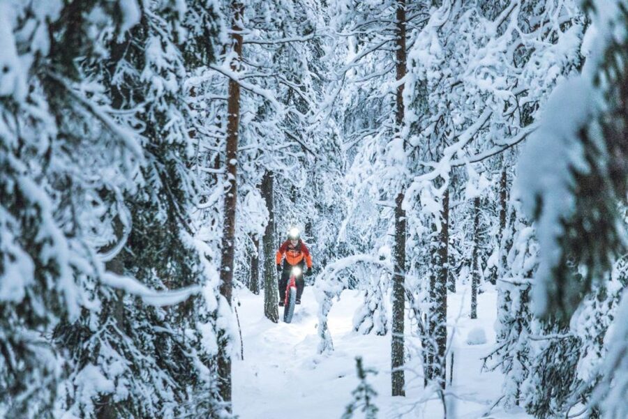 E-FatBike experience in small groups - The ride back: descents, curves, and staying confident