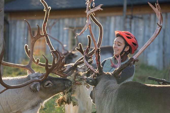 Electric Fatbike Trip to the Reindeer Farm - Electric Fatbikes to the Reindeer Farm, the Practical Way to See Lapland