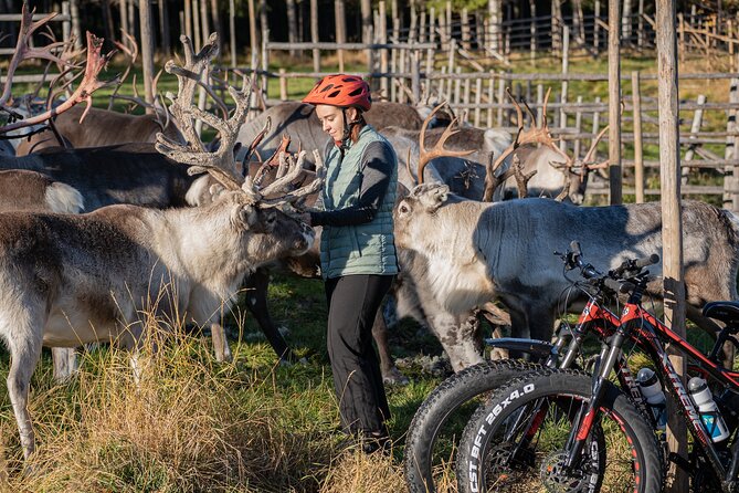 Electric Fatbike Trip to the Reindeer Farm - Arriving at the Reindeer Farm: Warm Fire, Coffee, Cookies, and Up-Close Reindeer
