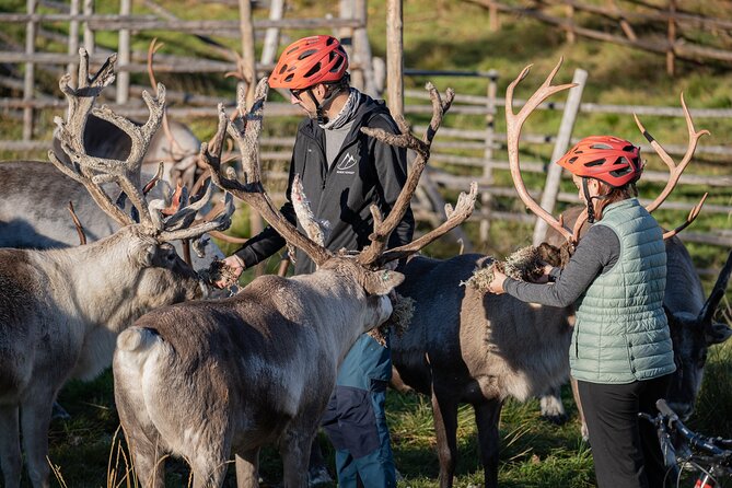 Electric Fatbike Trip to the Reindeer Farm - How Hard Is It, Really: Beginners, Families, and Adjustable Assist