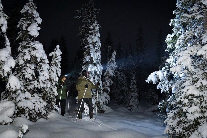 Evening Ski Trek to the Wilderness - Extra Small group - Key things to know before you go