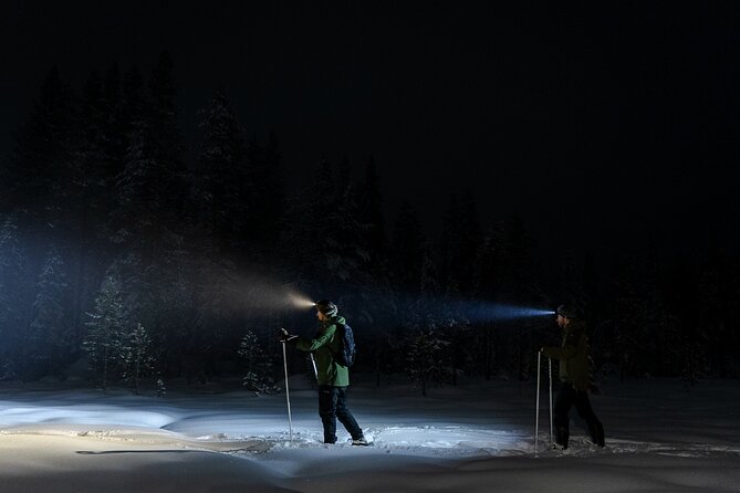 Evening Ski Trek to the Wilderness - Extra Small group - Price and value: why $118.96 can make sense in Lapland