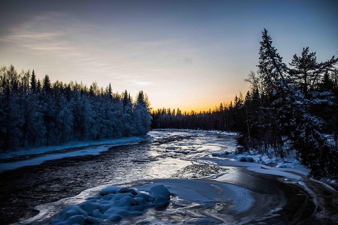 Explore the Wilderness - Stop 1: Beyond Arctic, the 4 km forest hike that frames the whole experience