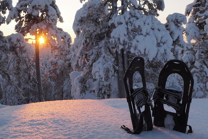 Explore Winter Woods: Snowshoe walk with local Biologist - Key highlights you will care about
