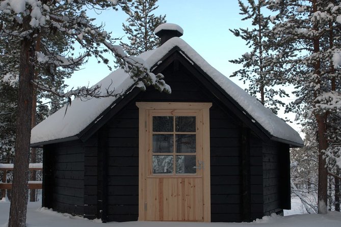 Explore Winter Woods: Snowshoe walk with local Biologist - Winter Woods With Terhi: What Makes the Inari Setting Worth Your Time