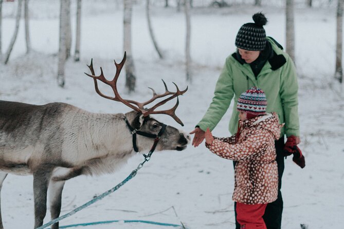 Family day: Reindeer, Husky and Snowmobiling in Levi - Key Things I Think You Should Know Before You Go