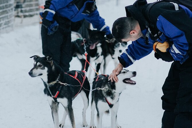 Family day: Reindeer, Husky and Snowmobiling in Levi - Lunch, Timing, and Why the Day Can Feel Longer Than the Rides