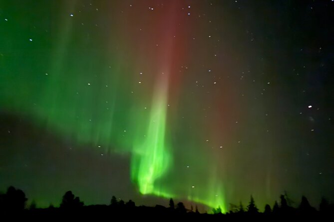 FAMILY FRIENDLY Aurora tour by minivan - Lapland viewing stop: tracking the lights, learning the myths, staying warm