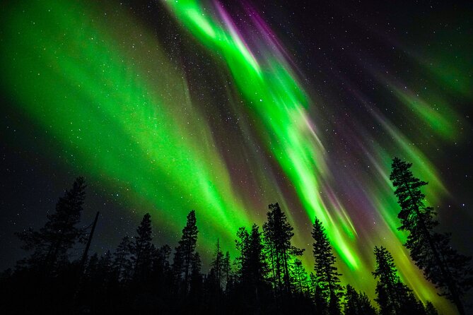 Family-Friendly: Northern Lights Adventure from Rovaniemi - Key highlights before you go