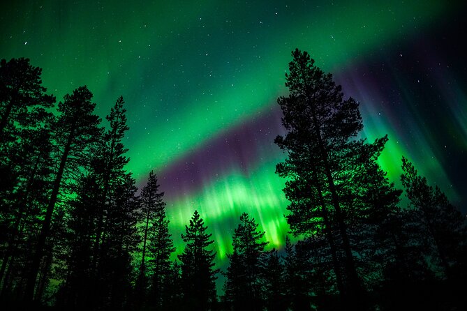 Family-Friendly: Northern Lights Adventure from Rovaniemi - Northern Lights odds: how the guide approach improves your chances