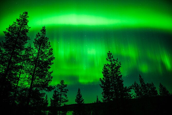 Family-Friendly: Northern Lights Adventure from Rovaniemi - Who this Northern Lights adventure suits best