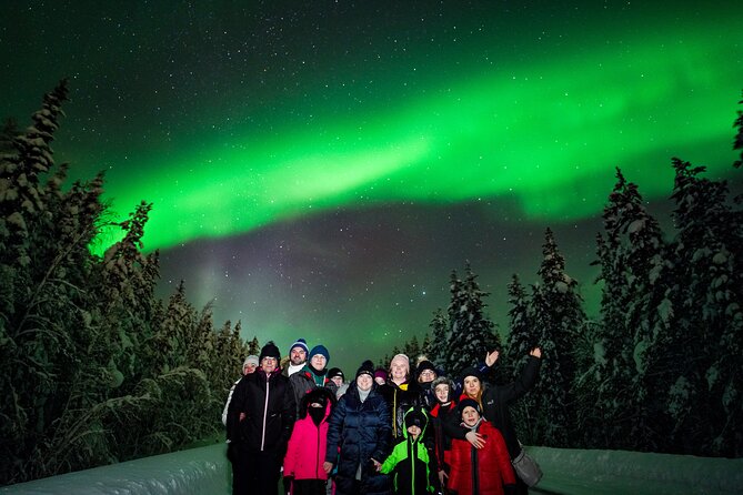 Family-Friendly: Northern Lights Adventure from Rovaniemi - The private aurora spot, camera time, and Lapland night expectations