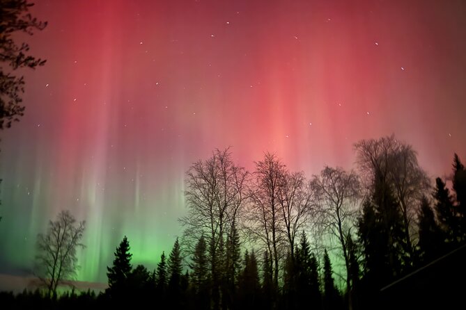 Family Friendly Northern Lights Tour in Rovaniemi - Price and value for a 2-hour aurora hunt