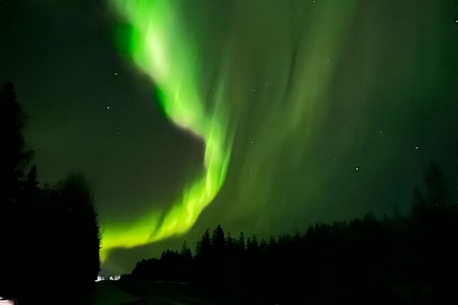 Family Friendly Northern Lights Tour in Rovaniemi - Family-friendly feel with a max of 16 people