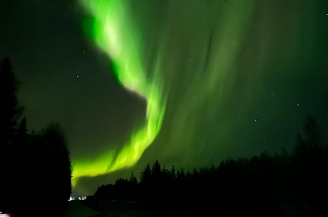 Family Friendly Northern Lights Tour in Rovaniemi - Cancellation, refunds, and how to protect your plans