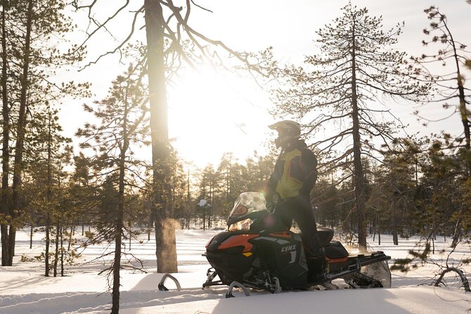 Family Snowmobile Safari in Rovaniemi - Key Highlights You’ll Care About