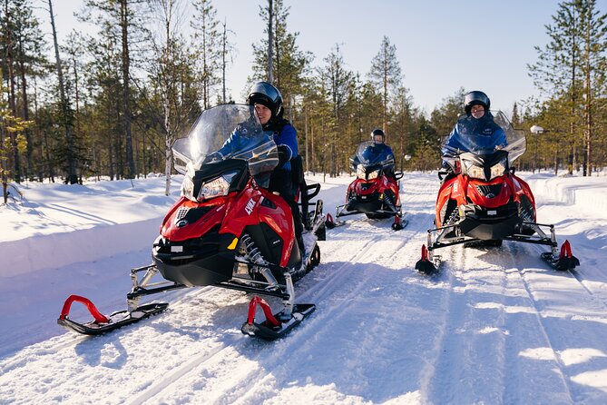 Family Snowmobiling in Rovaniemi, Apukka Resort - Who should book this family snowmobiling safari