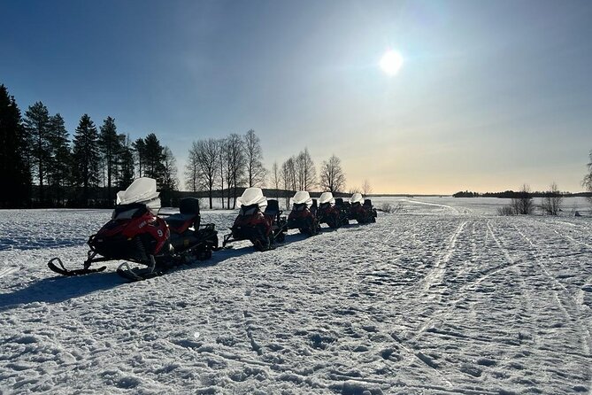 Family Snowmobiling in Rovaniemi, Apukka Resort - Should you book this tour?