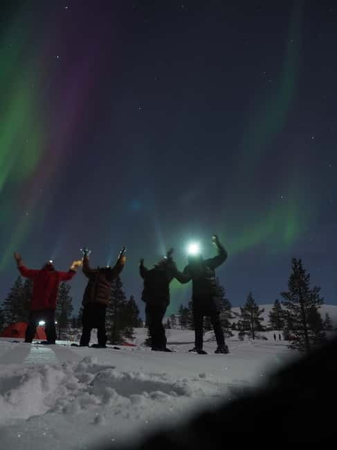 From Helsinki: Guided Forest Walk in the dark with campfire - Key things I’d plan for