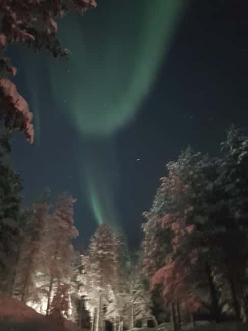 From Helsinki: Guided Forest Walk in the dark with campfire - Arriving in Helsinki, then heading to Sarvikallio Tuusula