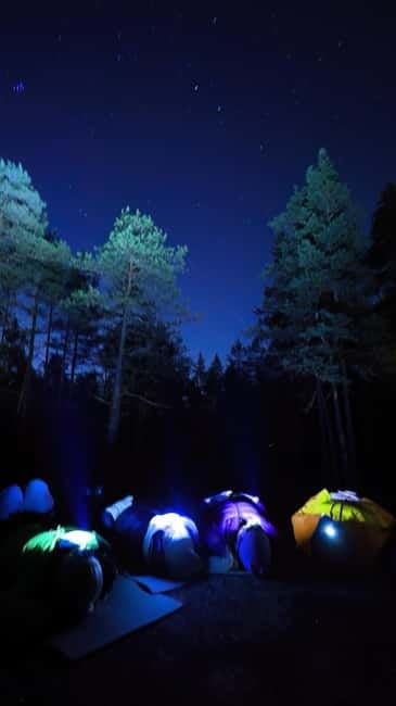 From Helsinki: Guided Forest Walk in the dark with campfire - Tuusula Forest at night, the senses do the work