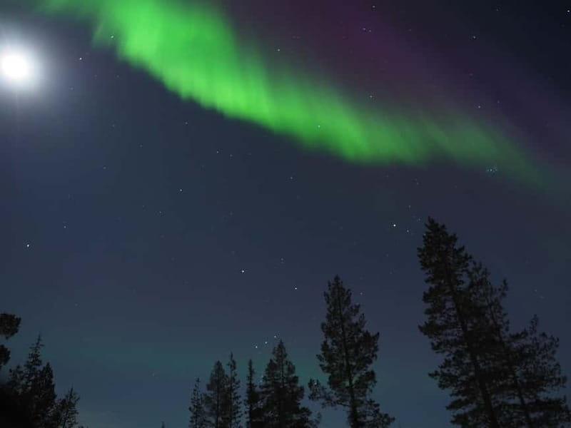 From Helsinki: Guided Forest Walk in the dark with campfire - Price and value: is $159 per person worth it?