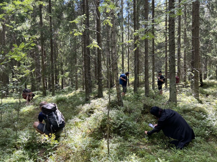 From Helsinki: Hike and Sauna in Sipoonkorpi National Park - Key highlights you will feel right away