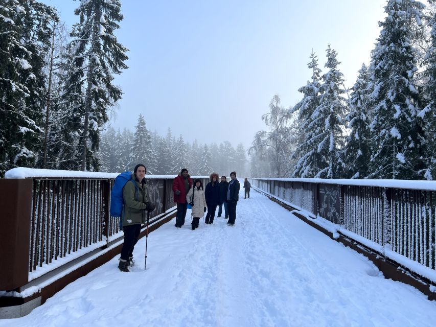 From Helsinki: Hike and Sauna in Sipoonkorpi National Park - Smoke sauna and löyly: the 80 to 100 C ritual