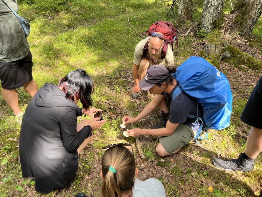 From Helsinki: Hike and Sauna in Sipoonkorpi National Park - Cooling off in the freshwater lake: cold dip, guided and practical