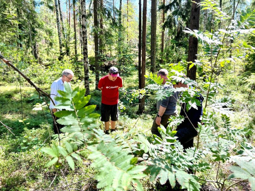 From Helsinki: Hike and Sauna in Sipoonkorpi National Park - Sipoonkorpi National Park hike: taiga forest, lakes, and real quiet