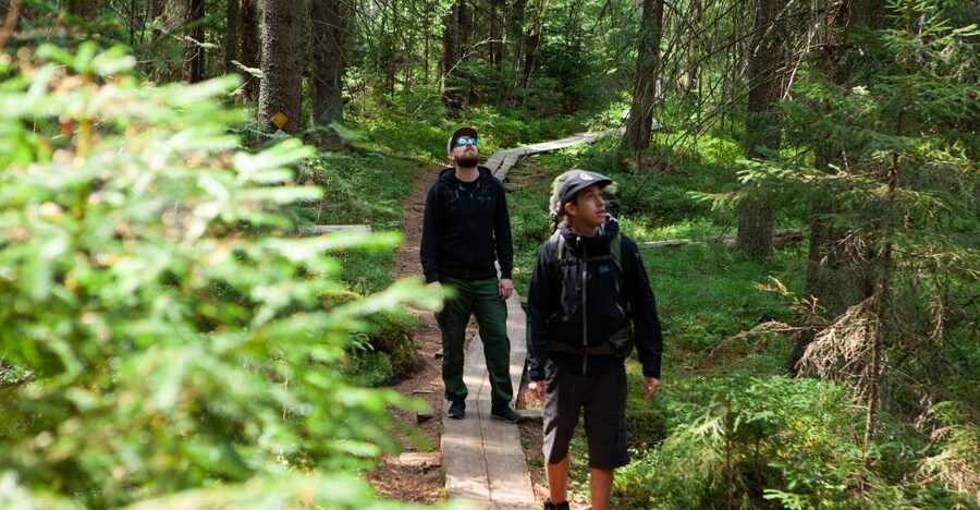From Helsinki: Magical Taiga Hike in Liesjärvi National Park - Small sustainability details that matter in the real world