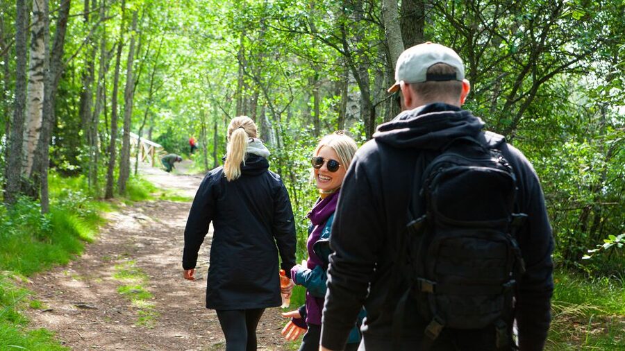 From Helsinki: Magical Taiga Hike in Liesjärvi National Park - The 2-hour taiga walk: what you will actually notice
