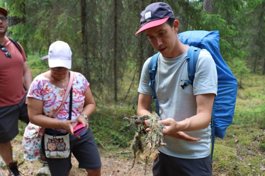 From Helsinki: Magical Taiga Hike in Liesjärvi National Park - The return hike: shorter, scenic, and usually easier mentally