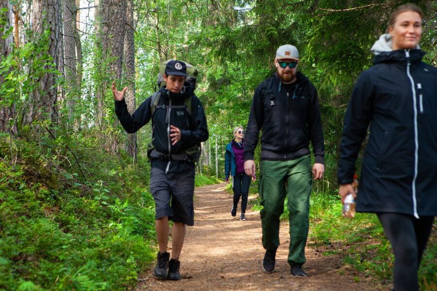 From Helsinki: Magical Taiga Hike in Liesjärvi National Park - Price and value: what you get for about $182 per person
