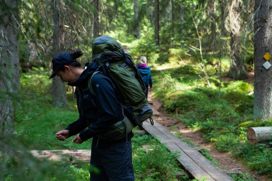 From Helsinki: Mushroom Hunting Tour in a National Park - Helsinki Meets the Forest: What This Chanterelle Hunt Really Gives You