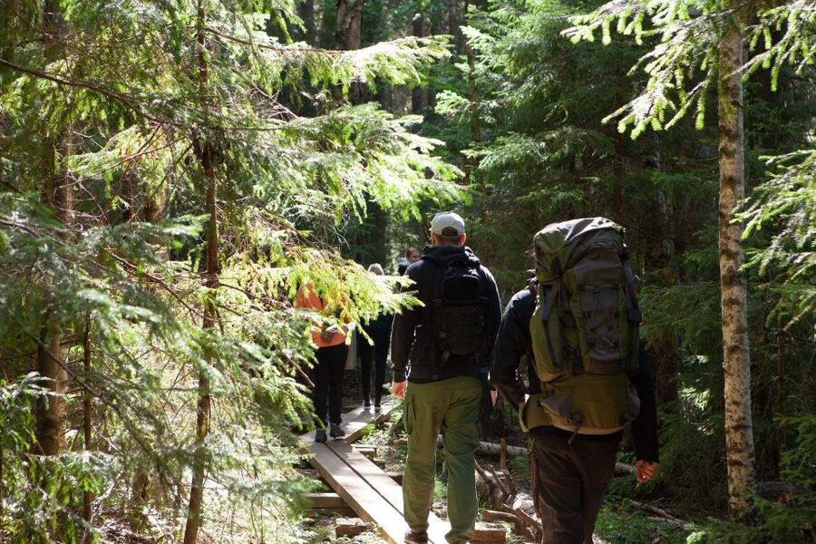 From Helsinki: Mushroom Hunting Tour in a National Park - Meet the Guide and Learn the Rules of Safe Foraging