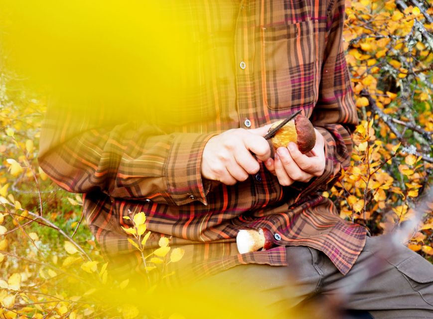 From Helsinki: Mushroom Hunting Tour in a National Park - Campfire Lunch by the Lake: Why This Part Works