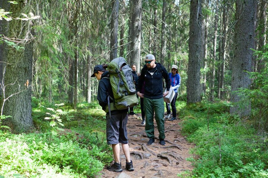 From Helsinki: Mushroom Hunting Tour in a National Park - Timing and Transport: Getting a Full Day Without the Stress