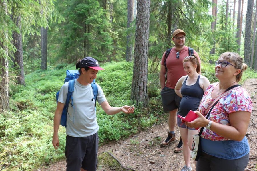 From Helsinki: Mushroom Hunting Tour in a National Park - Who This Tour Suits Best, and Who Should Skip It